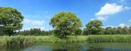 綠色產(chǎn)品認(rèn)證，人造板、衛(wèi)生陶瓷、家具、建材、快遞包裝等認(rèn)證